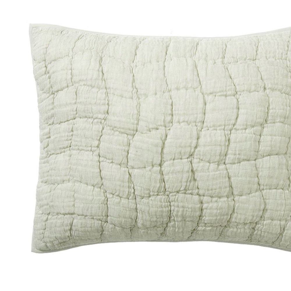One Pottery Barn Cloud Linen Sham Eucalyptus (standard size)